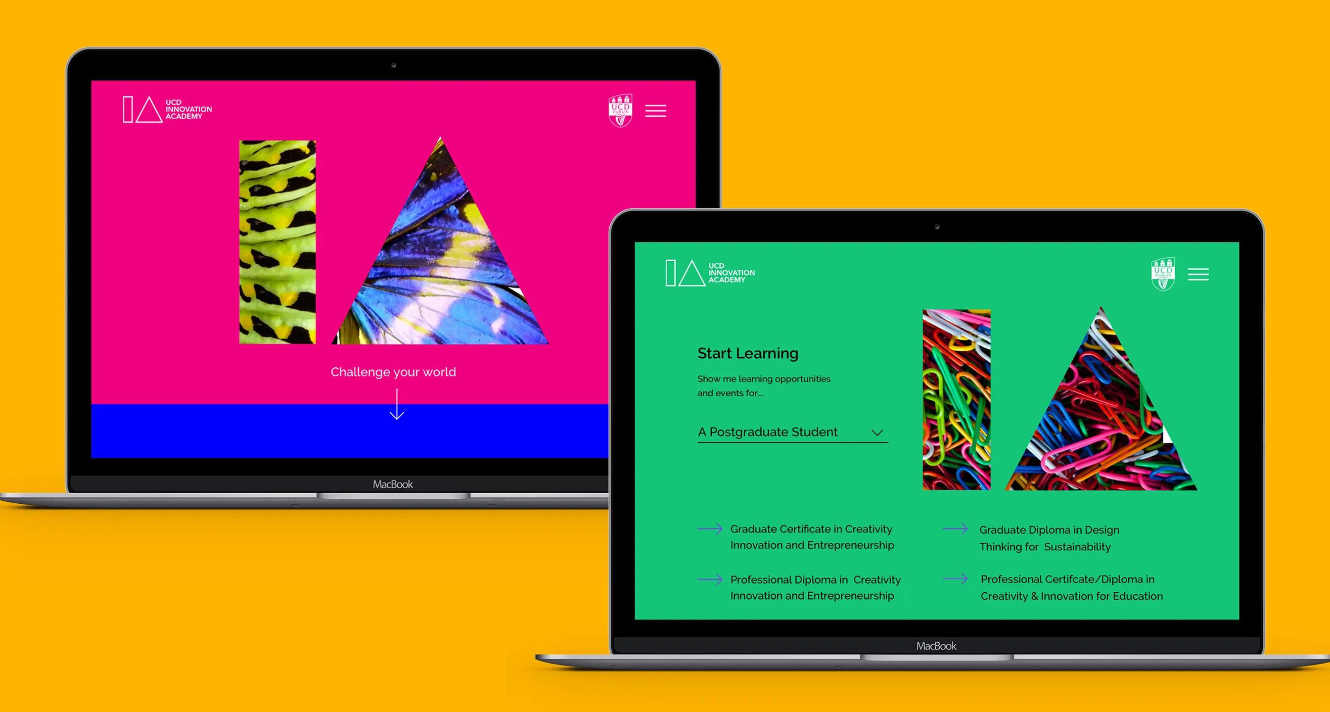 UCD IA website homepage displayed on two laptops