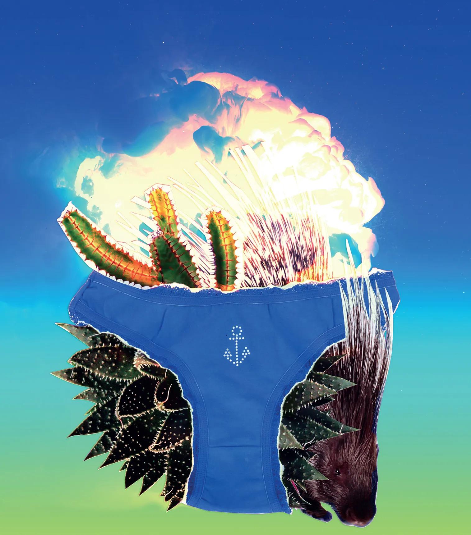 Collage of leaves and a pair of pants