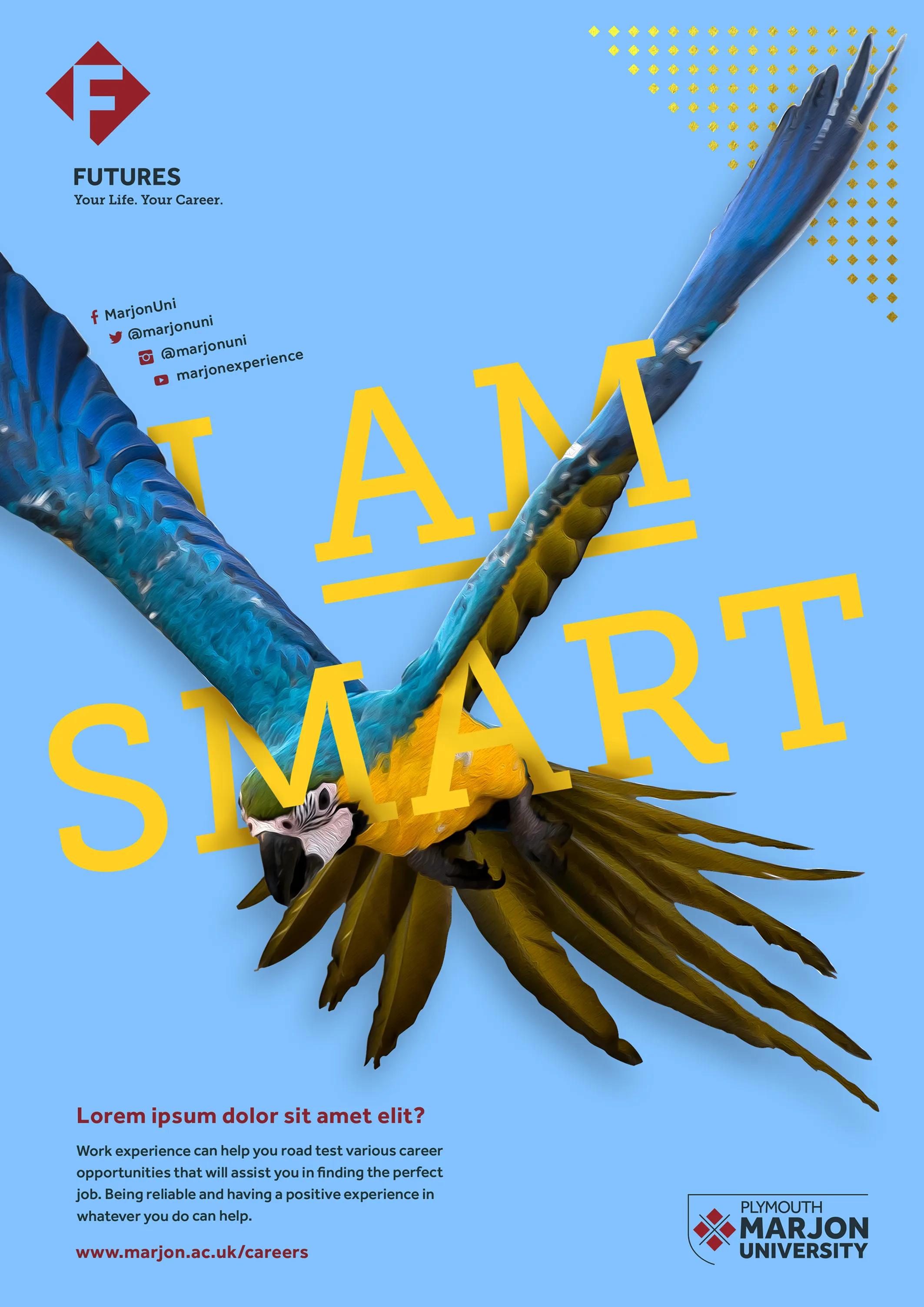 I am smart poster for plymouth university