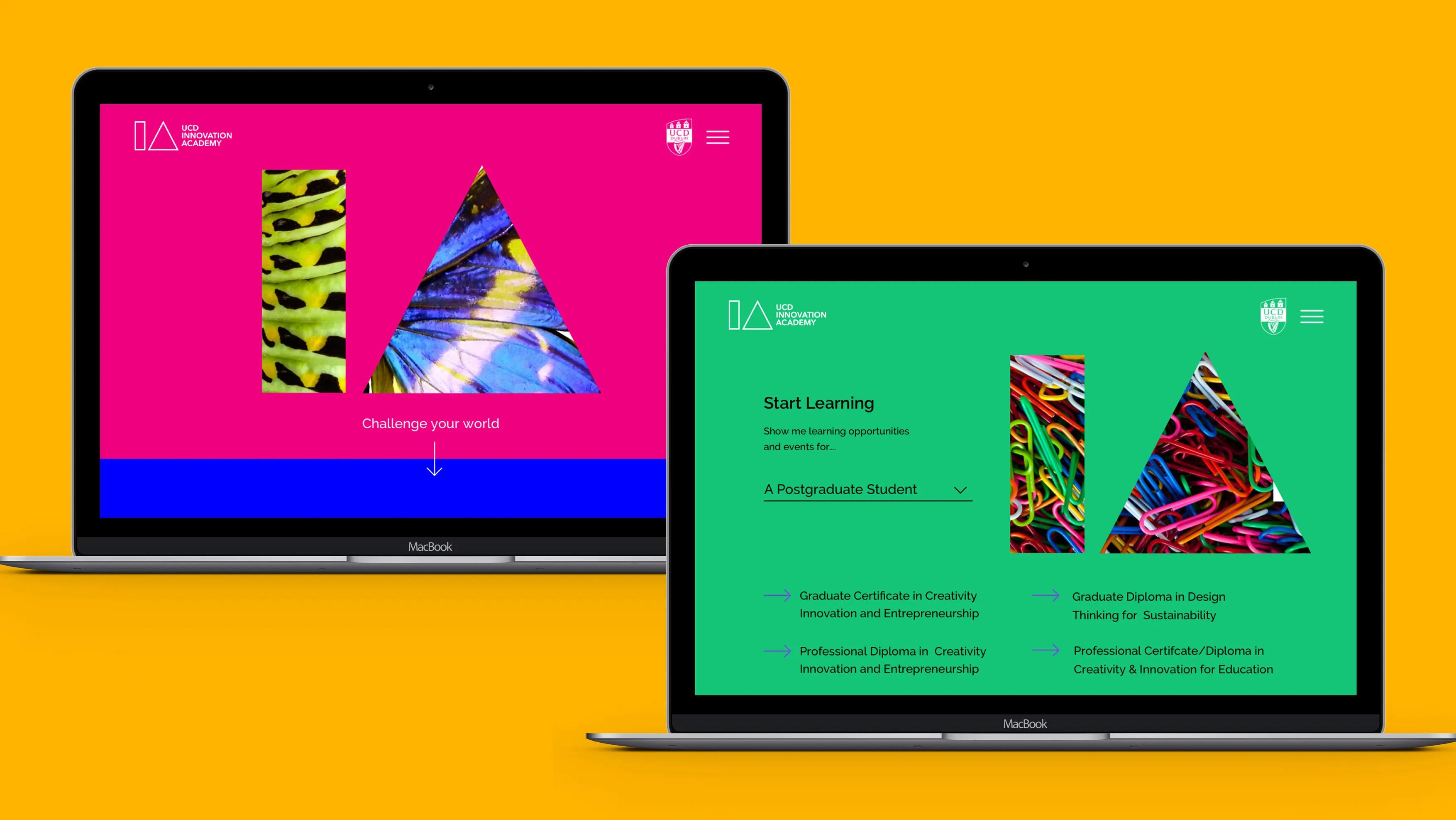 UCD IA website shown on two laptops