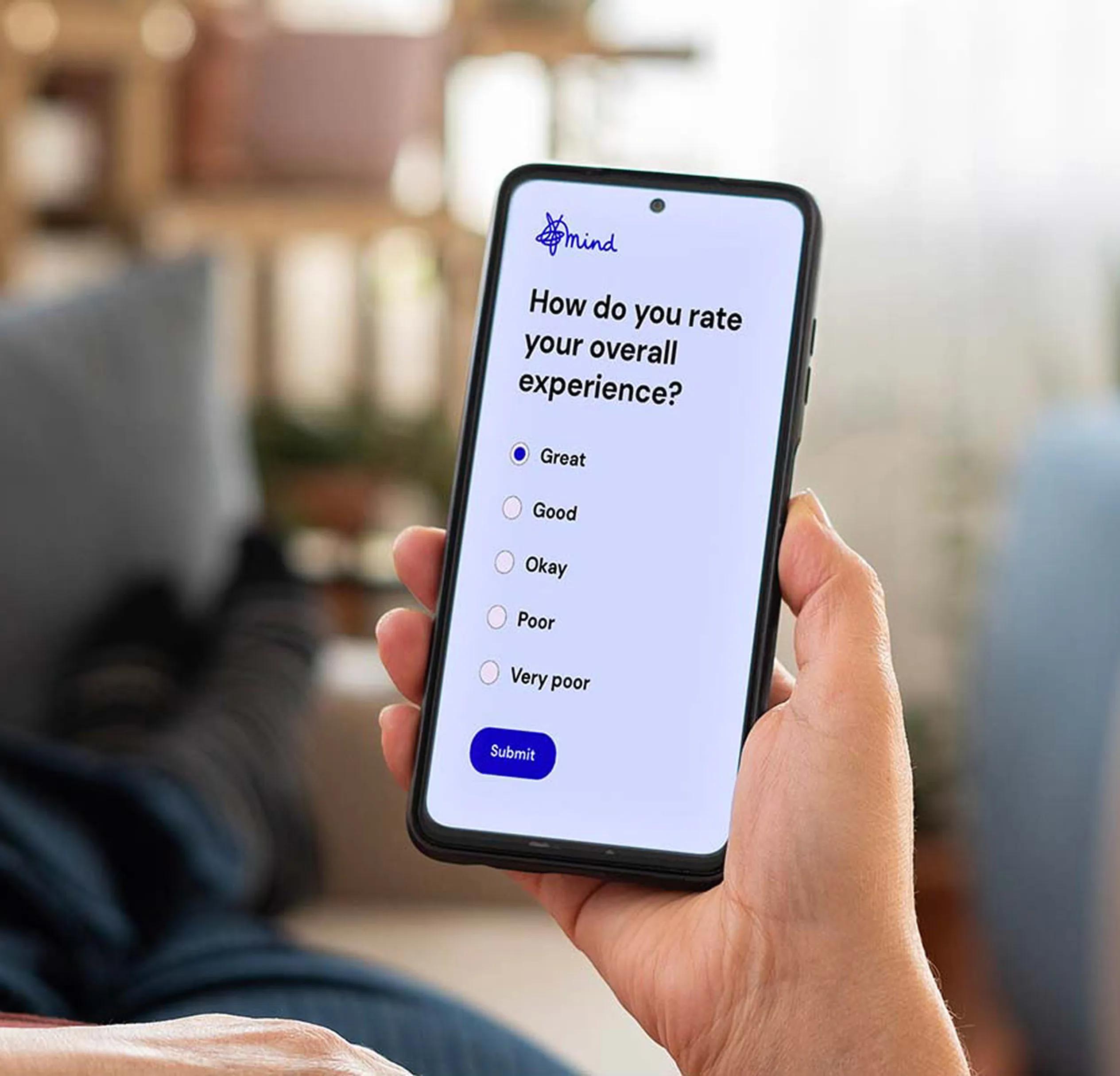 mockup of a survey on a phone