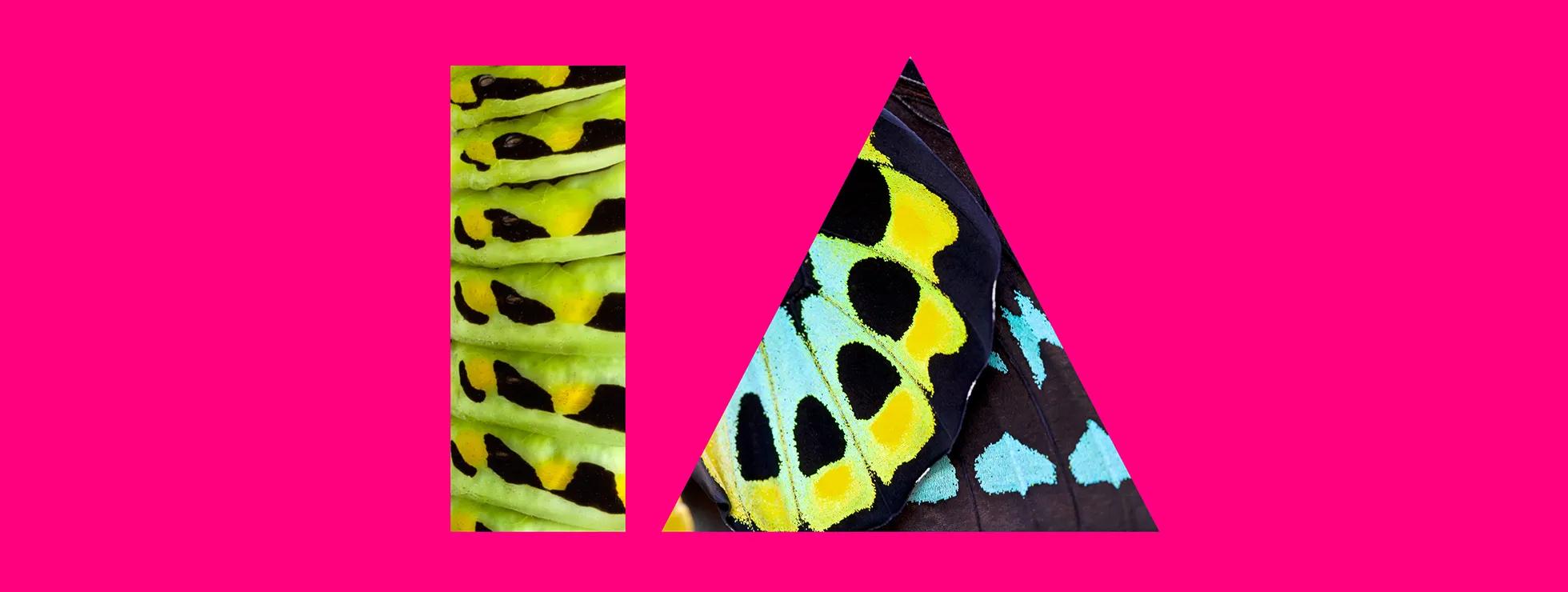 IE%20header.png